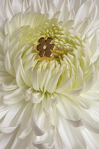 DAISY RING / 14K GOLD PLATED BRASS