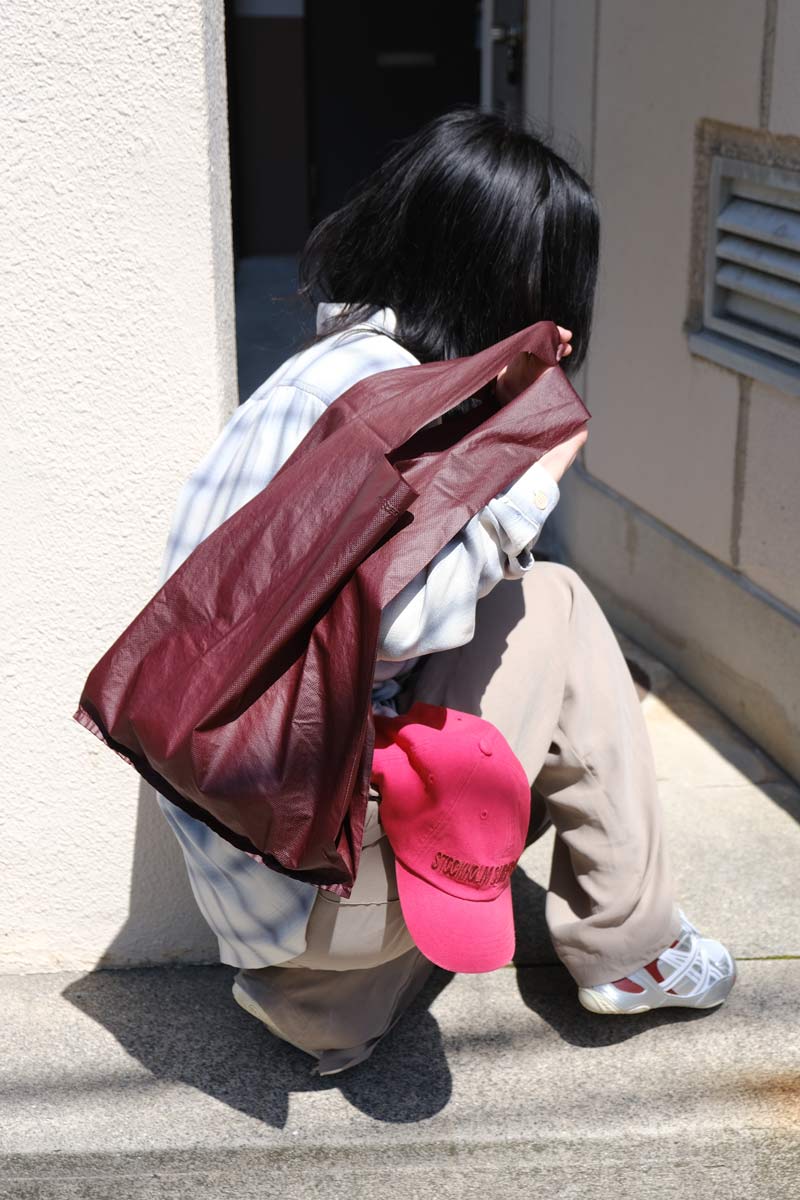 GROCERY BAG / CARMINE NYLOGUARD GRID