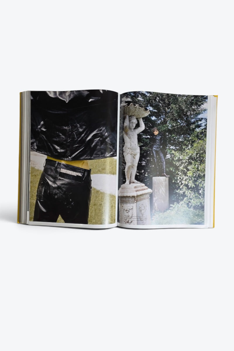 THE RYAN MCGINLEY PURPLE BOOK