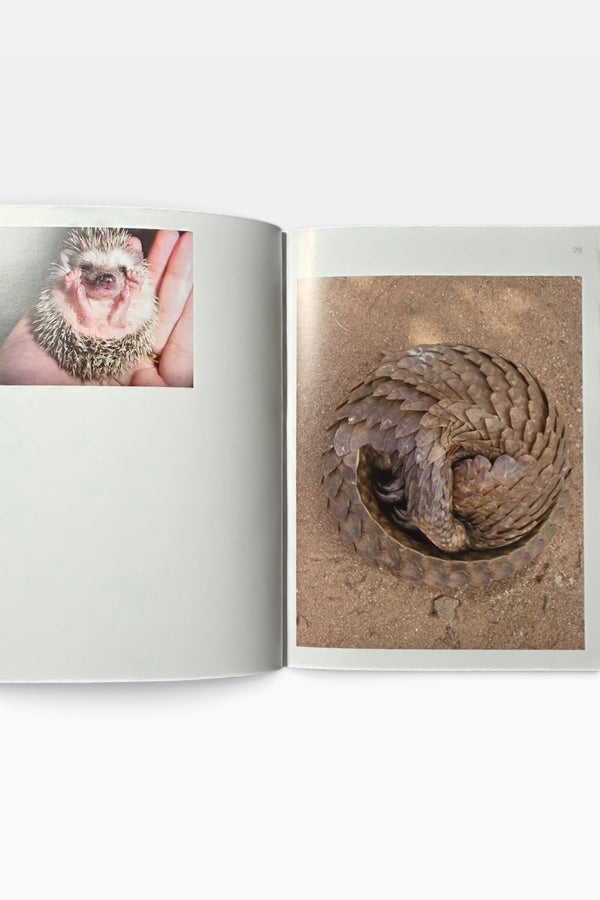 #2 NANCY BUCHANAN: THINGS THAT ARE ROUND