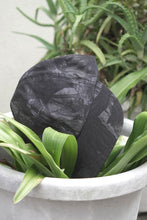 Load image into Gallery viewer, REAL TREE CAMO CAP / REAL TREE CAMO