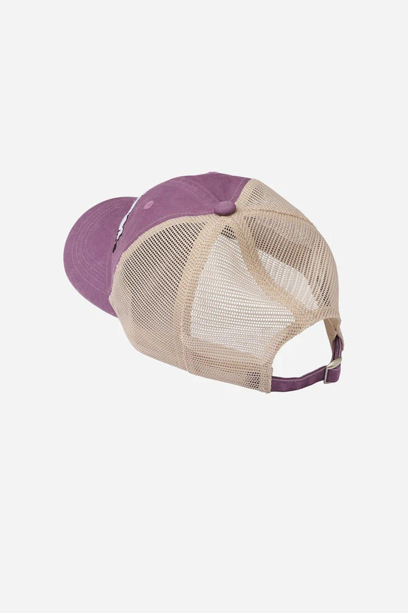 HELI  MESH CAP / PURPLE