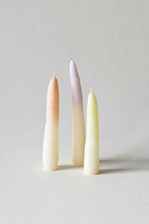 XOXO CARROT SET TRIO